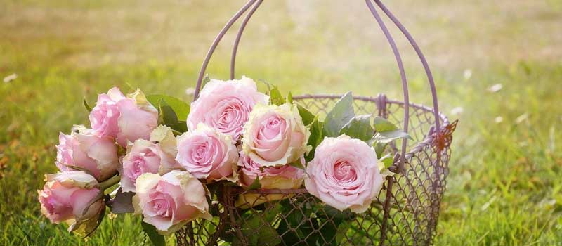 出会系サイトおすすめランキング【2024年版】すぐ会えるのはココ!0008